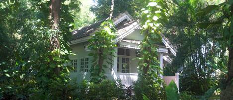 A traditional house surrounded by dense tropical vegetation.