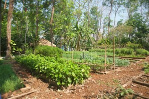 Jardín