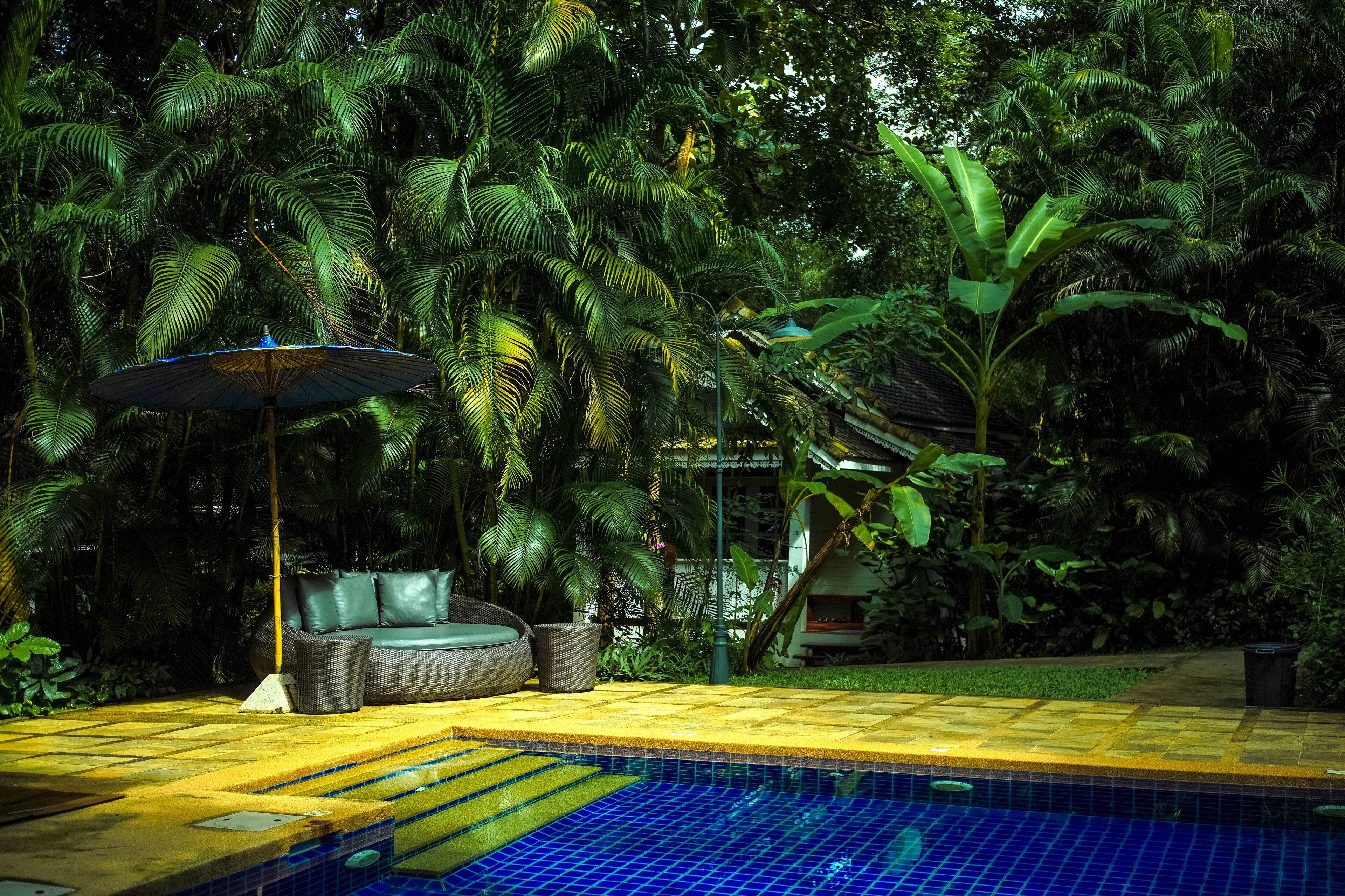 Outdoor pool, pool umbrellas, sun loungers