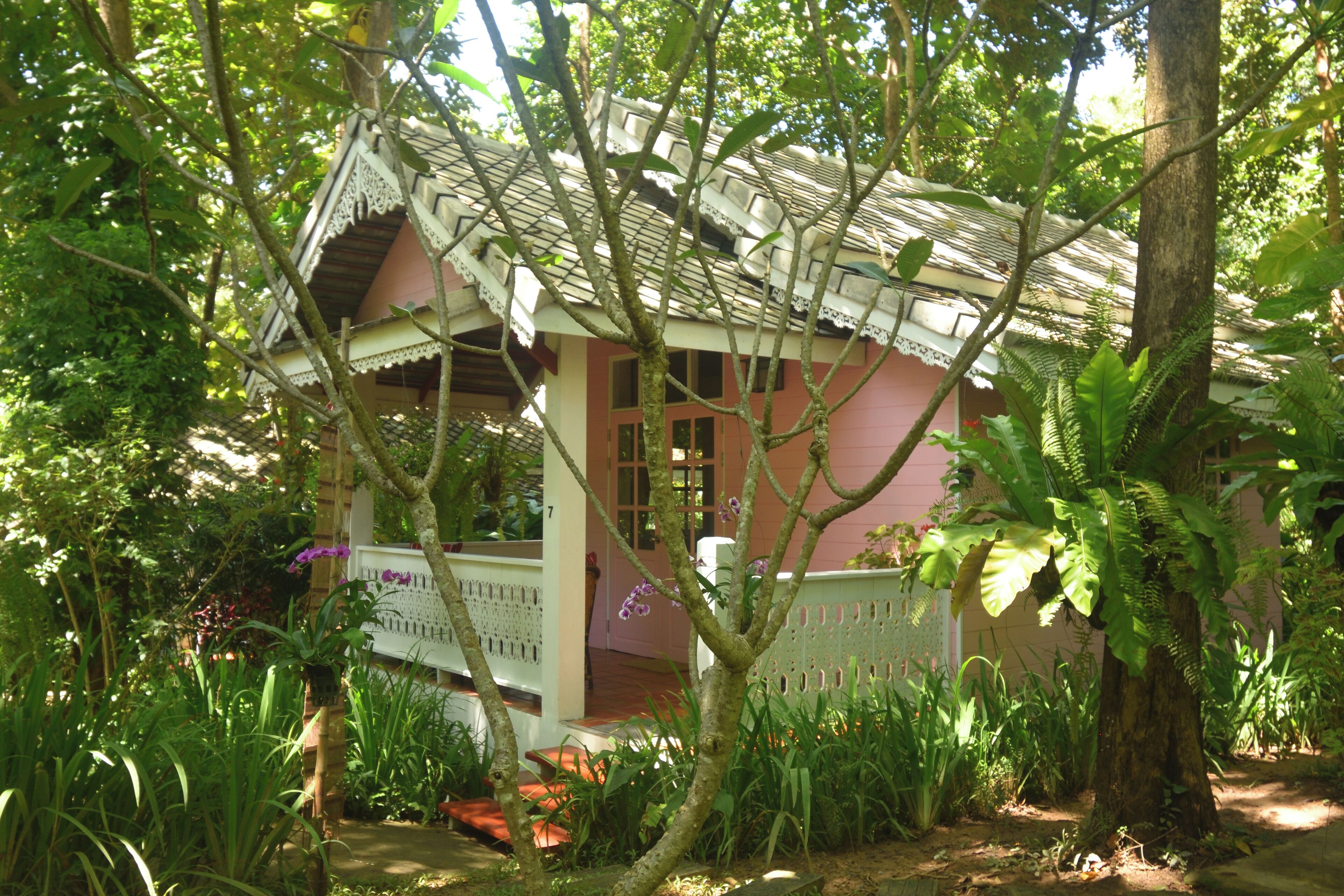 A traditional house with a thatched roof, surrounded by lush greenery and tropical plants.