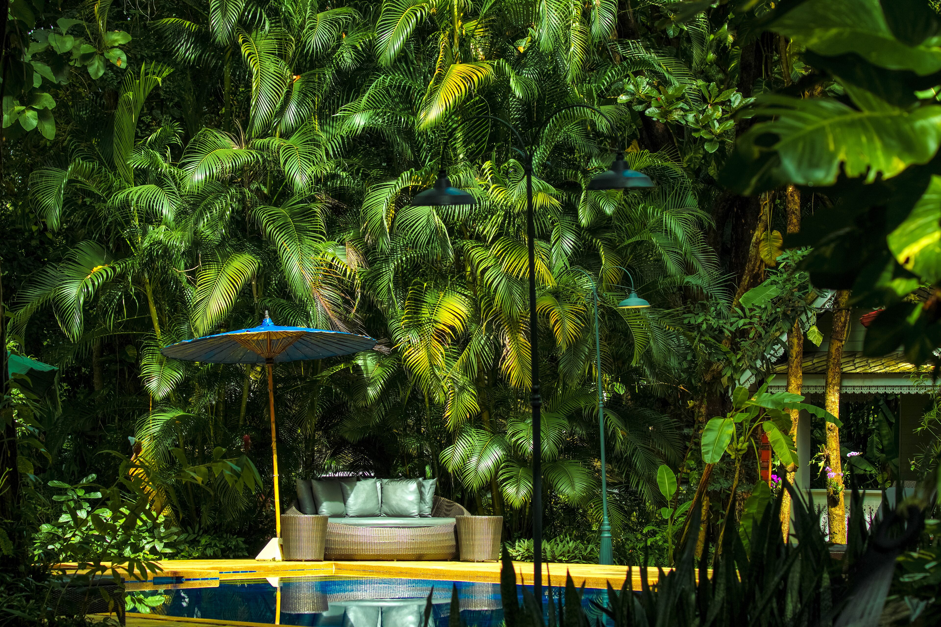 Kolam renang outdoor, dengan payung kolam renang dan kursi berjemur