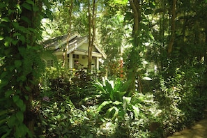 Jardín