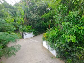 花園