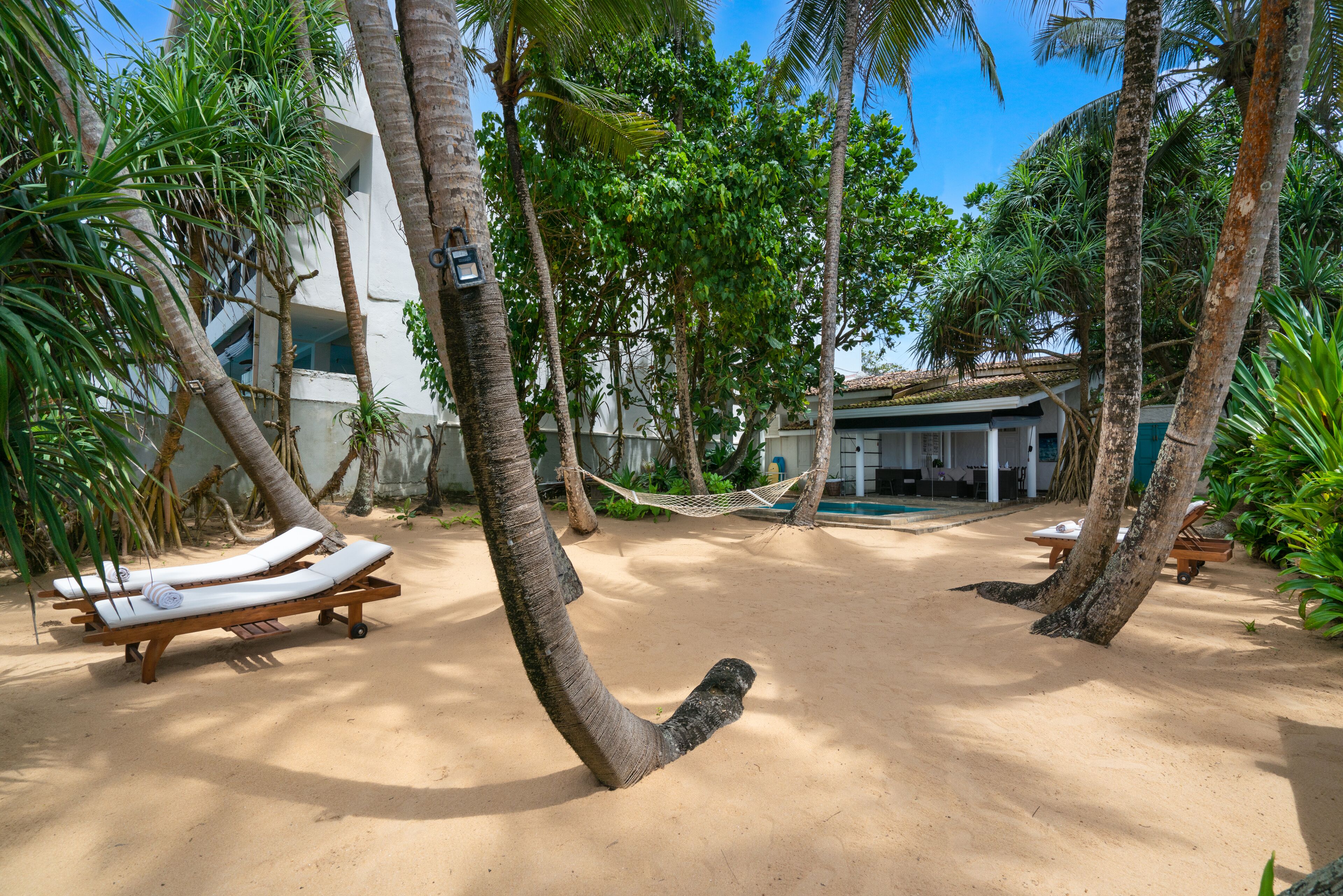 A sandy outdoor area with lounge chairs and a hammock.
