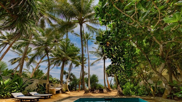 Un espace piscine doté de chaises longues, entouré de palmiers et d’une végétation tropicale.