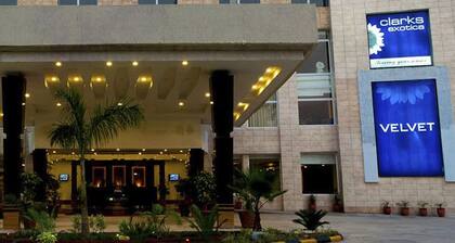 Velvet Clarks Exotica