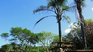 A pool area with a person in a bikini, surrounded by trees and a clear blue sky. - Buccaneers Backpackers (Great Kei)