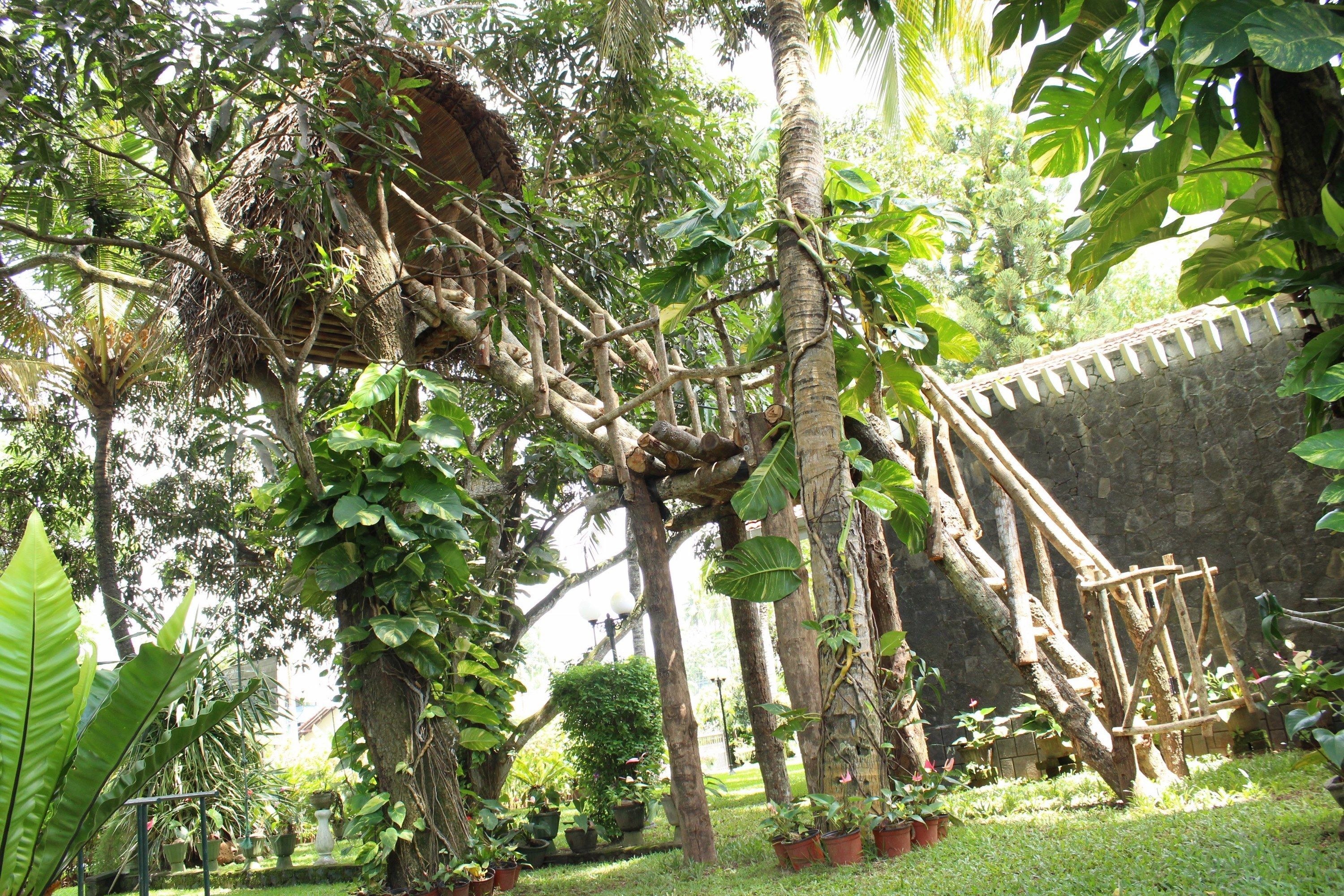 A garden with a wooden bridge, potted plants, and a stone wall.