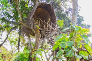 Garden - Villa Shade (Negombo)