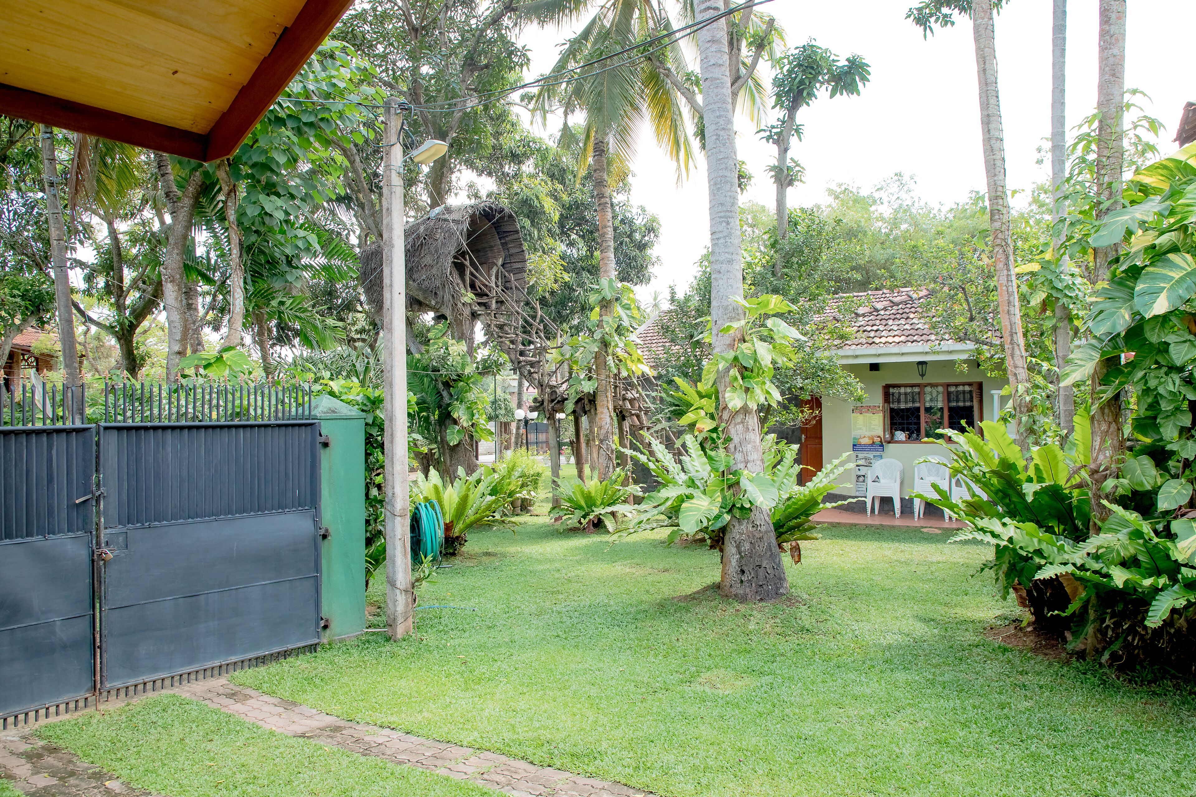 Un jardín exuberante con un área cercada, una pequeña construcción con techo de tejas y un árbol con una estructura colgante.