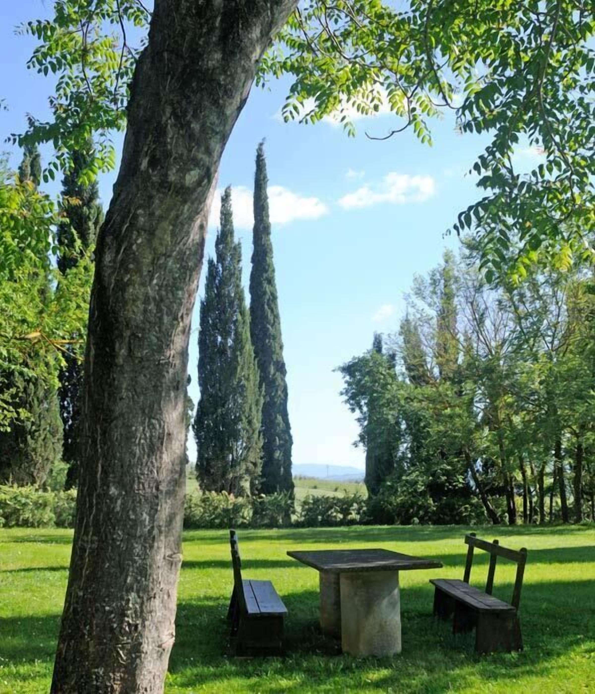 Ein Park mit Picknicktisch und Bänken, umgeben von Bäumen und einer Rasenfläche.