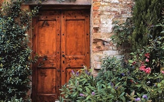 Una puerta de madera rústica junto a un muro de piedra y abundante vegetación.