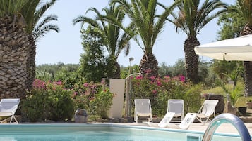 Una piscina con sillones de descanso y palmeras.