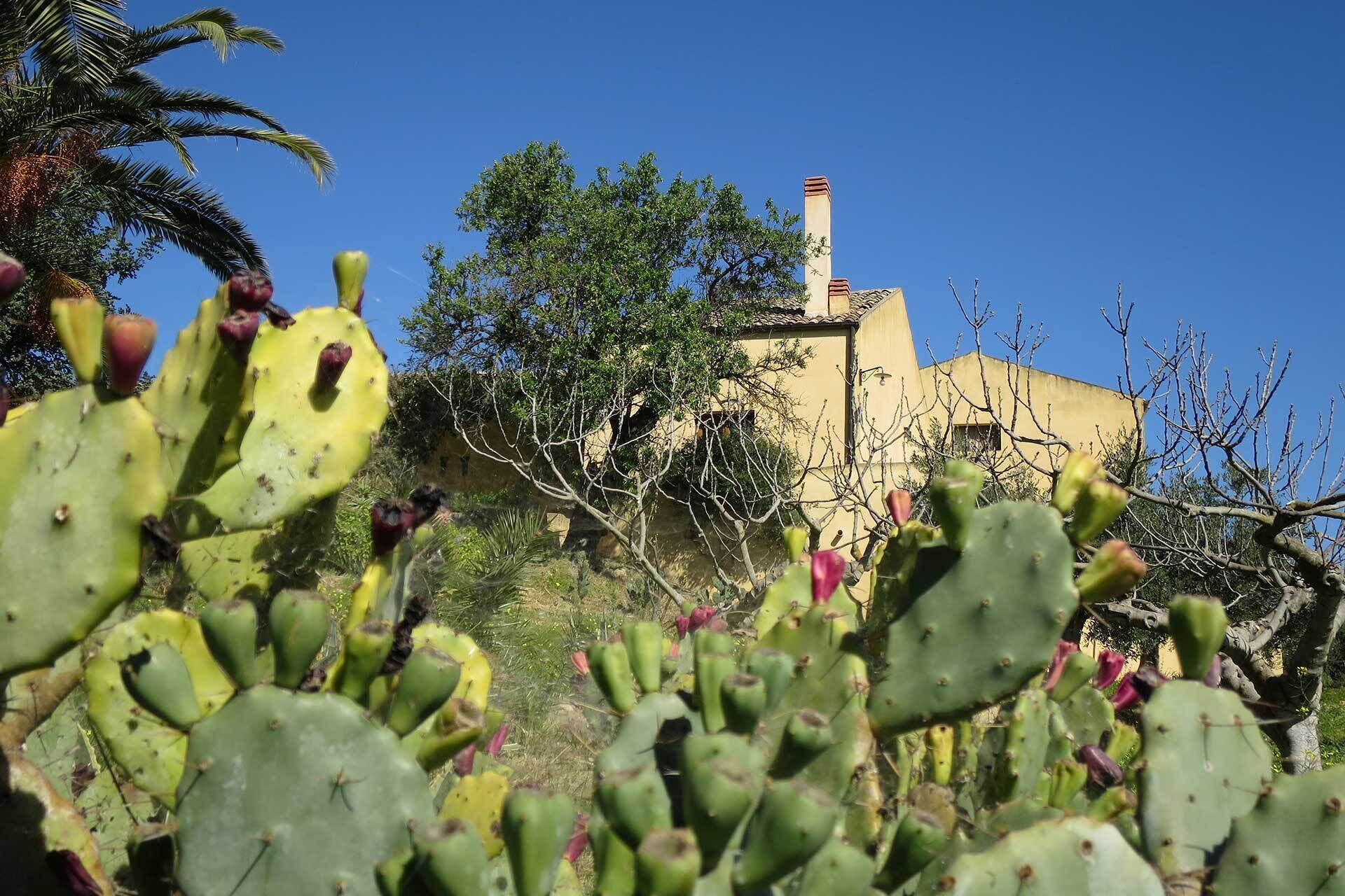A building with a yellow facade and a chimney, surrounded by cacti and trees.