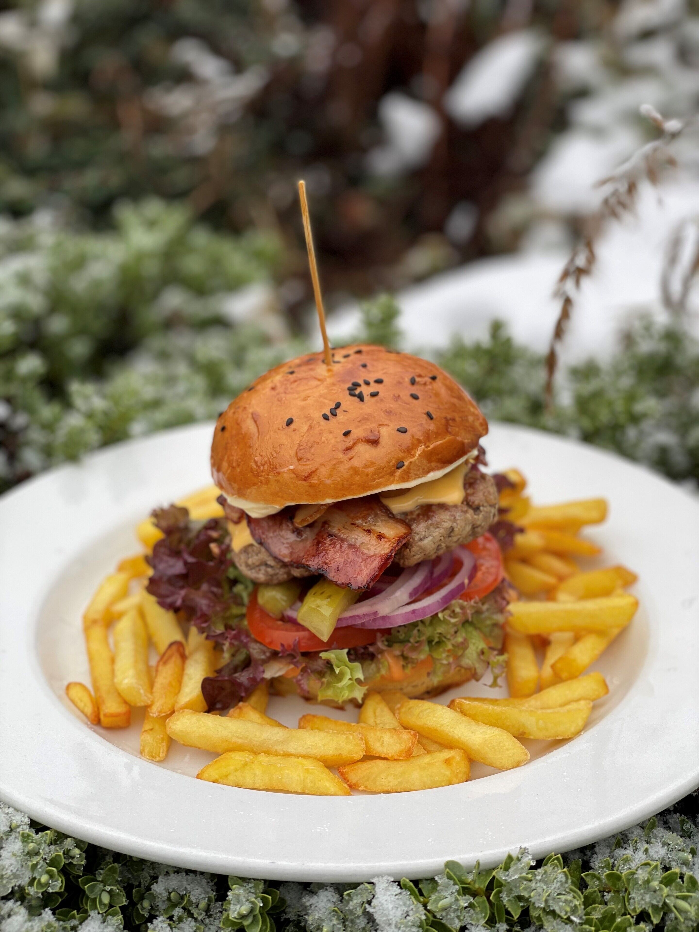 A burger with fries on a plate.