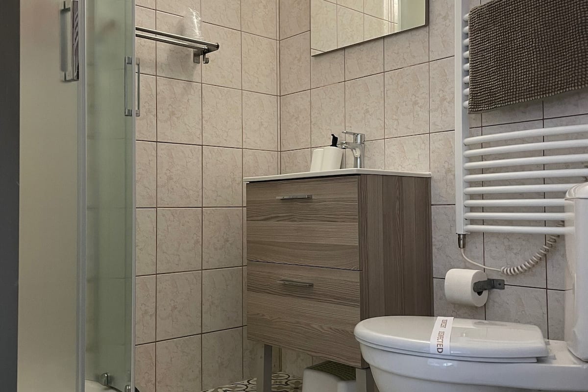 shower, free toiletries, hair dryer, towels