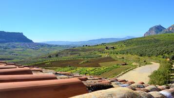 Des tuiles en terre cuite sur le toit, un vignoble et des montagnes à l’horizon.