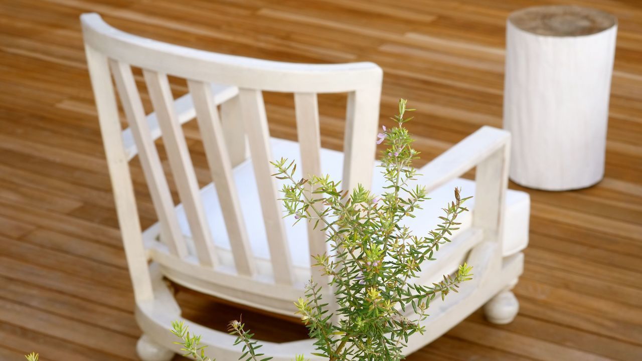 Foto - The Late Birds Lisbon - Gay Urban Resort