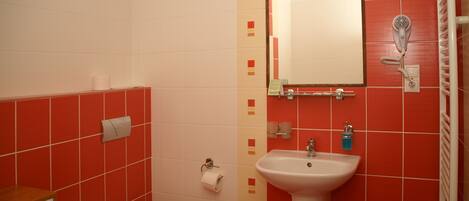 A bathroom with a toilet, sink, and mirror.