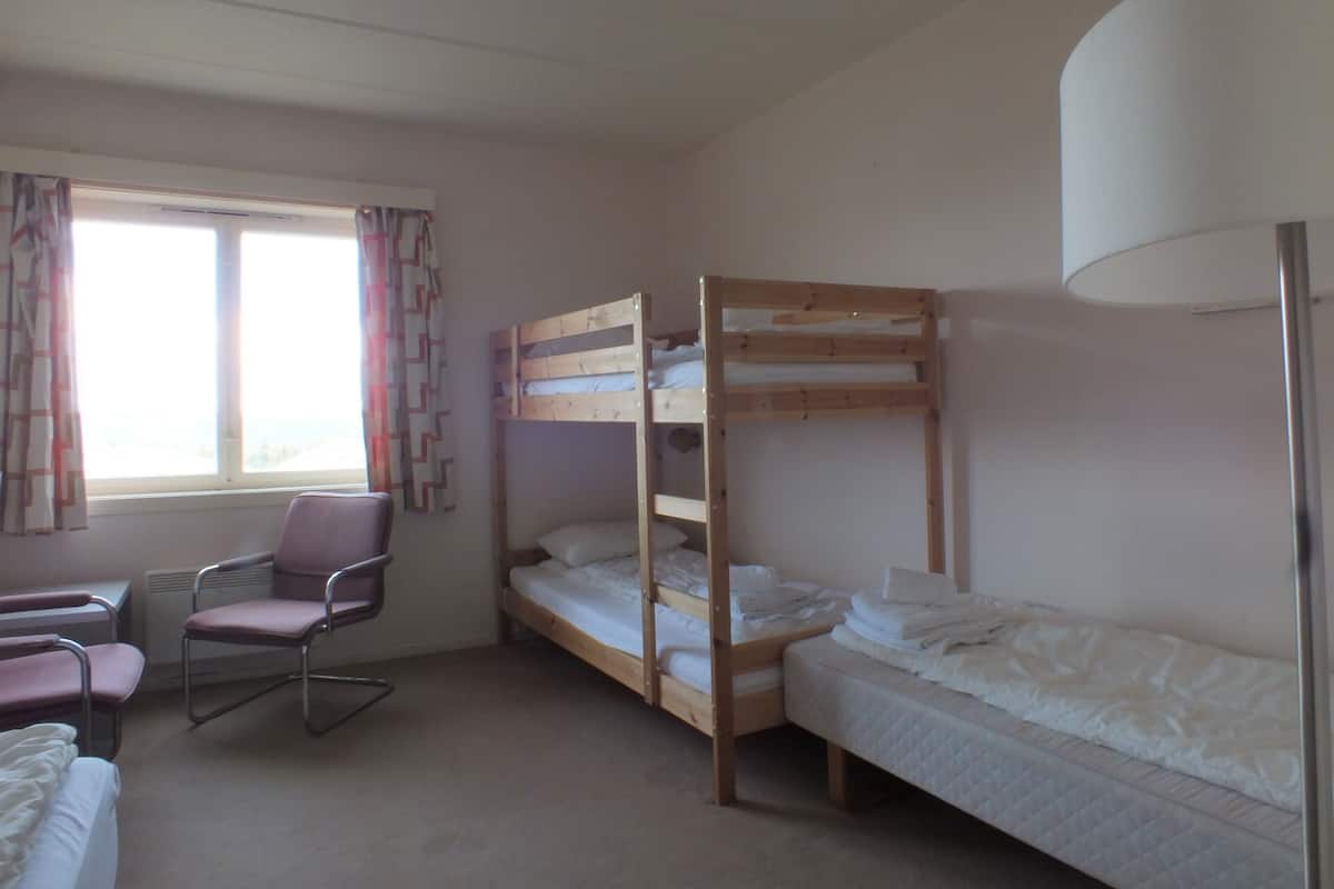 이코노미 공용 도미토리, 침대(여러 개), 산 전망 (Hostel room/shared room) | 책상, 간이 침대