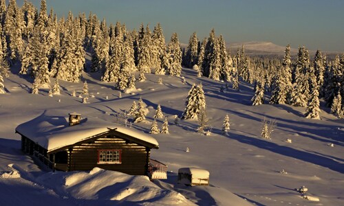 Hornsjø Høyfjellshotell