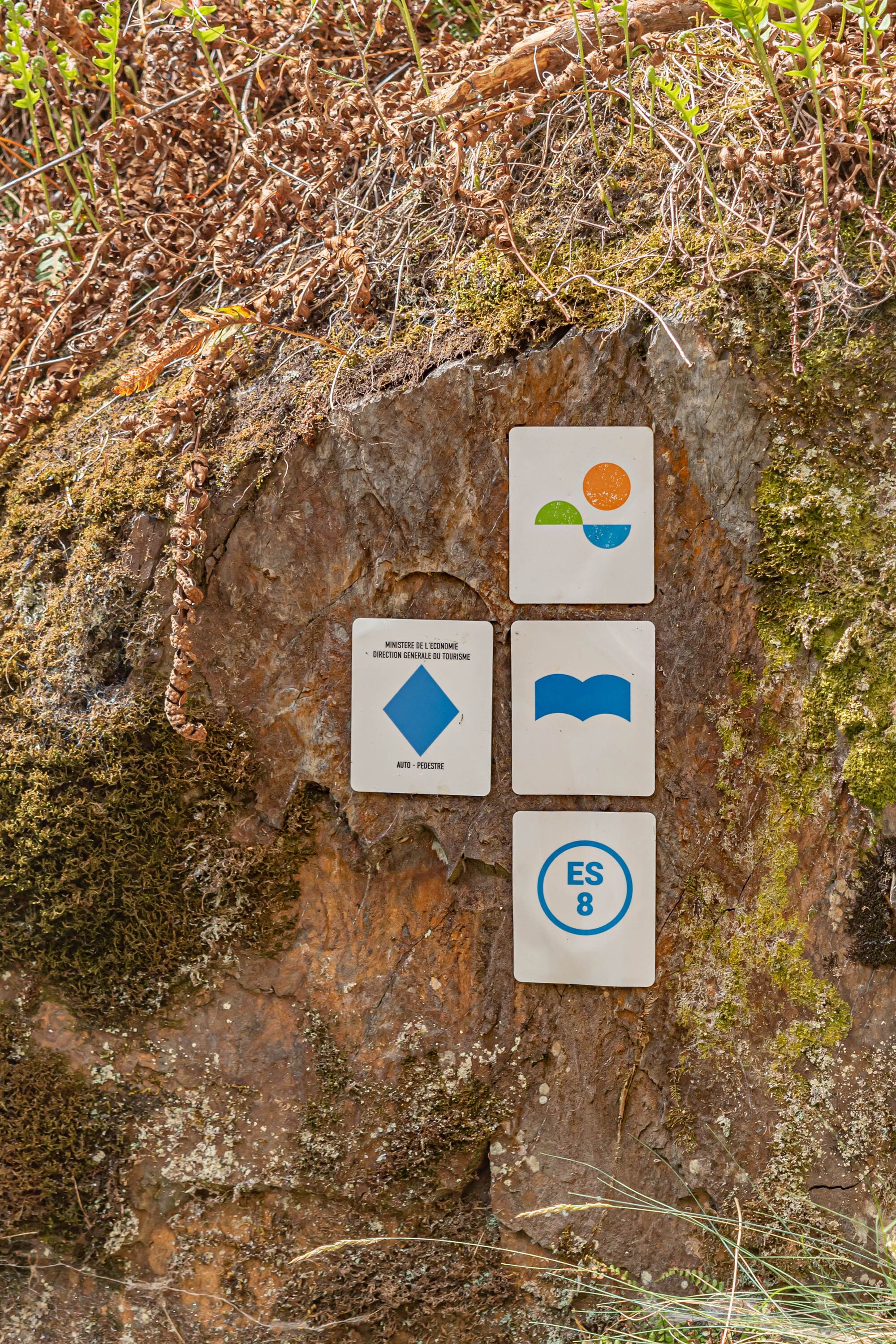 A rocky terrain with moss-covered surfaces and a signboard displaying various symbols and text.