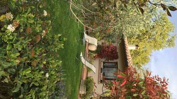 Luxury-Suite, Terrasse, Parkblick | Garten