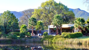 Una casa moderna con piscina rodeada de vegetación exuberante y palmeras.
