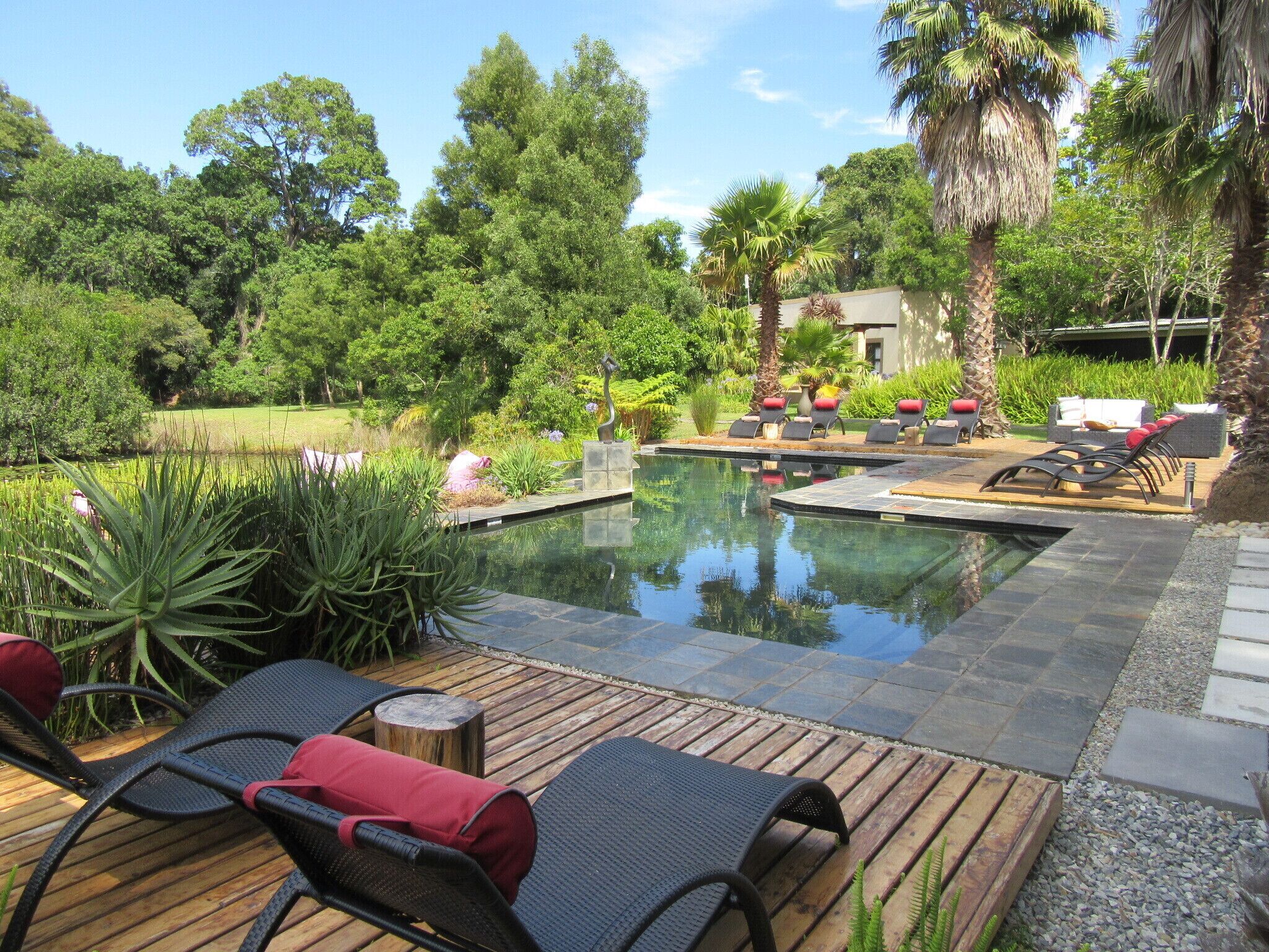 Piscine extérieure, parasols de plage, chaises longues