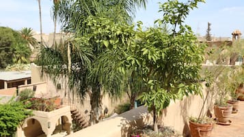 Lunch and dinner served, Moroccan cuisine