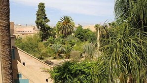 Garden - Palais Oumensour (Taroudant)