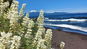 Una playa con flores blancas en primer plano y una montaña al fondo.