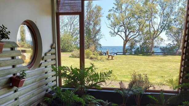 Un área de piscina con vista a un jardín césped y árboles.