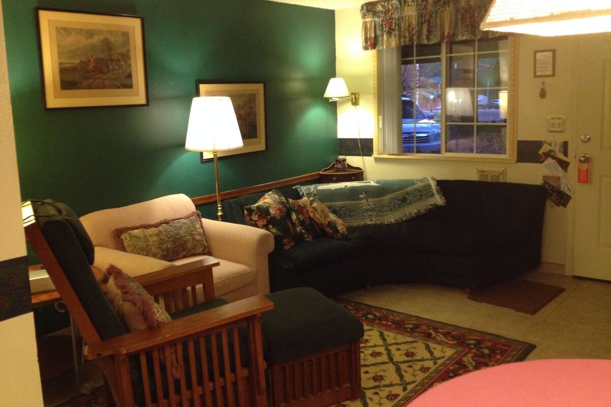 Ein Wohnzimmer mit grüner Wand, einer Couch, einem Sessel, einer Lampe und einem Fenster mit Blick ins Freie.
