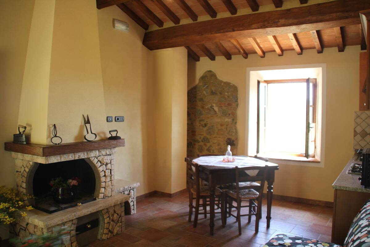 Apartment, 2 Bedrooms, Fireplace | Living area