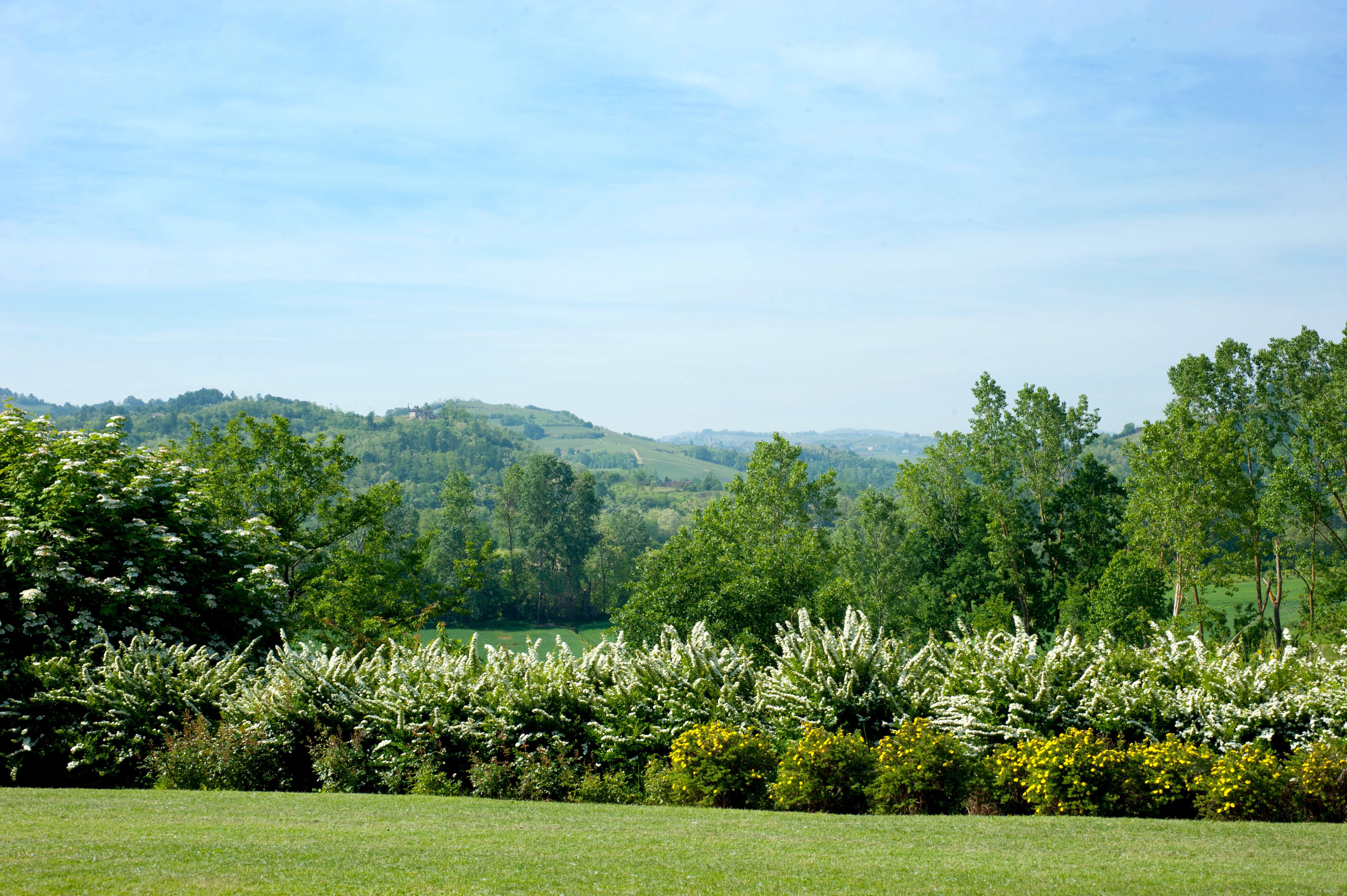 superior double room, 1 double bed, private bathroom, park view | hill view