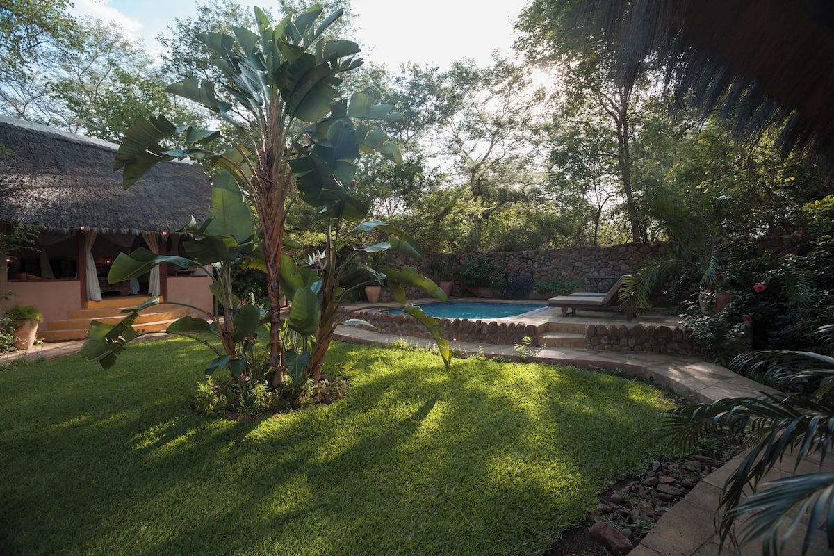 A well-maintained garden with a swimming pool, a thatched-roof structure, and lush greenery.