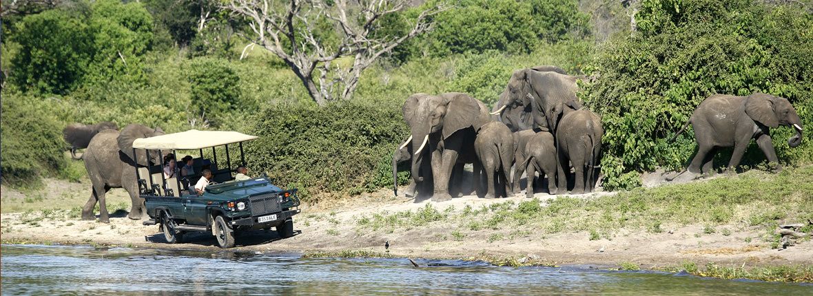 Un vehículo safari con pasajeros observando elefantes junto a un río.