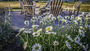 A patio with Adirondack chairs and a view of mountains. - Dreamcatcher Bed and Breakfast (Victor)