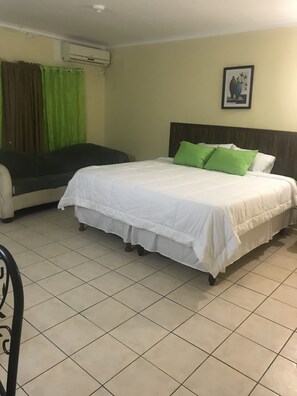 Studio Suite, 1 King Bed, Park View