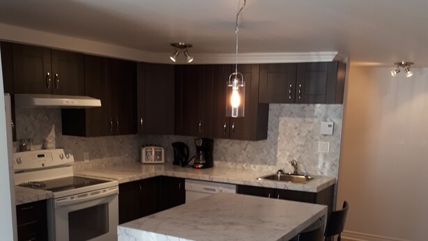 A modern kitchen with dark cabinets, a marble island, stainless steel appliances, and pendant lighting. - Les Appartements de la Bergeronnette (Les Bergeronnes)