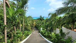 Un sendero bordeado por exuberante vegetación tropical que conduce a una playa.