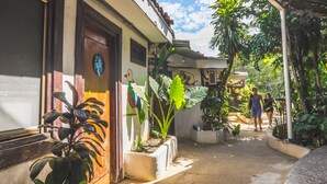 Área externa coberta com plantas em vasos e um caminho.