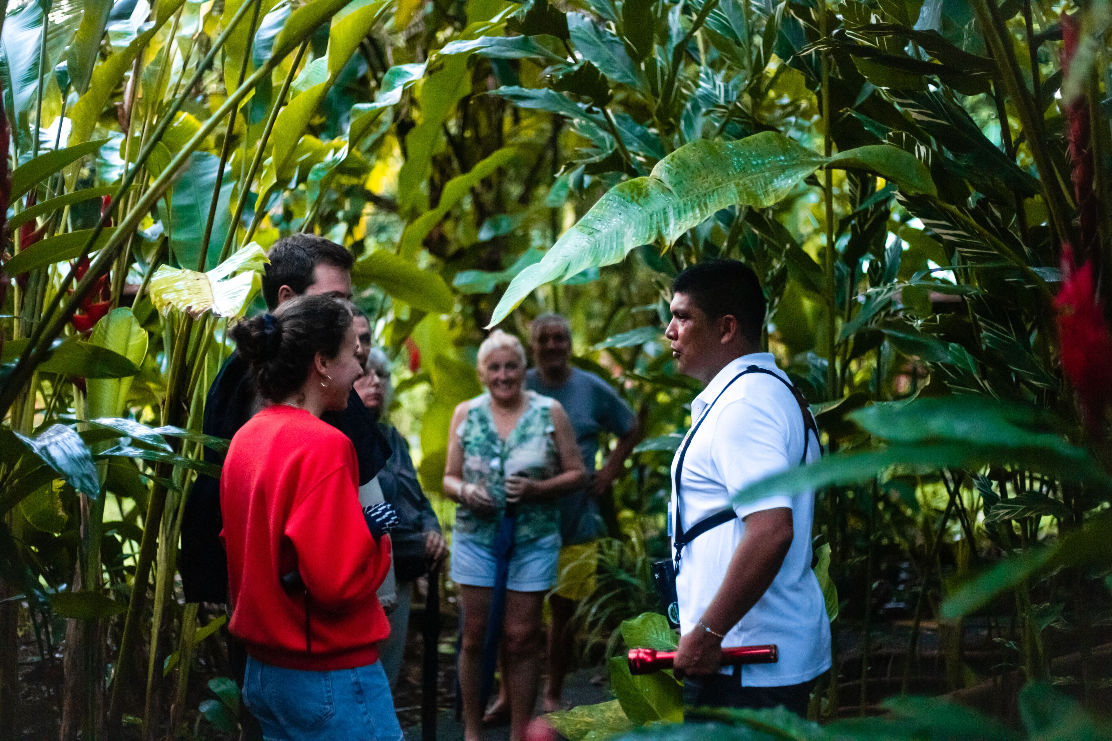 Un grupo de personas en un entorno exuberante y verde con vegetación densa.