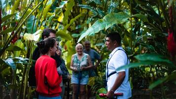 Un grupo de personas en un entorno exuberante y verde con vegetación densa.