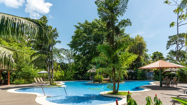 A swimming pool with a curved edge, surrounded by lush greenery and a thatched-roof structure. - Laguna Lodge (Colorado)