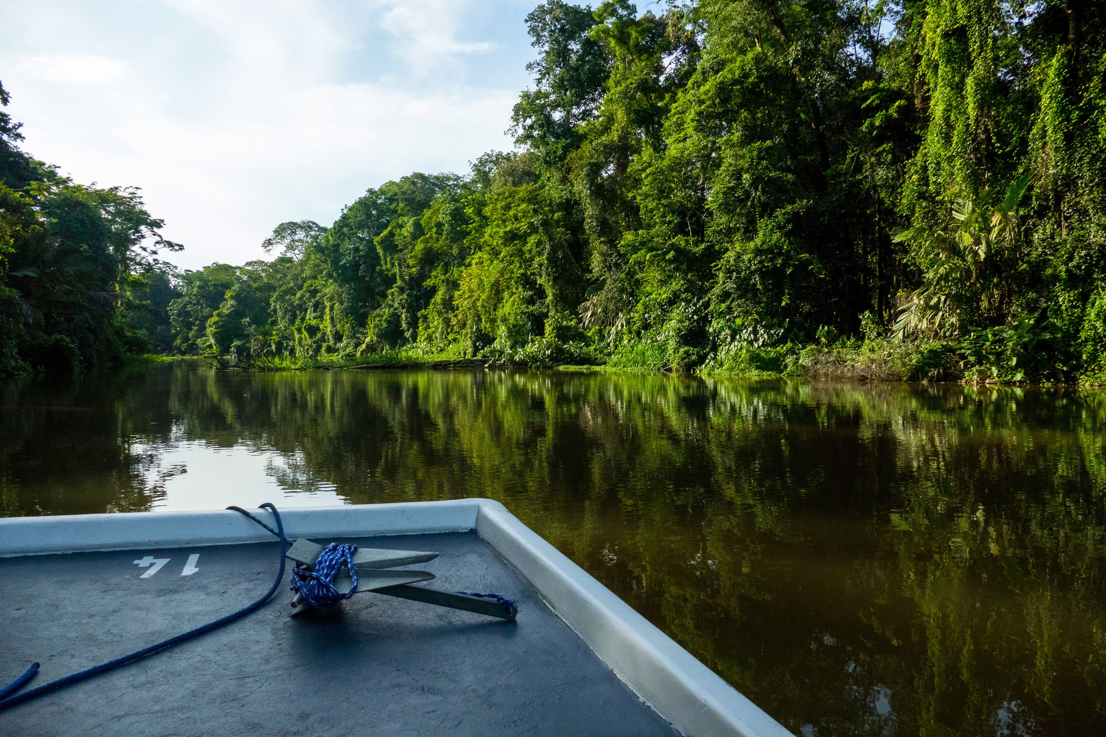 A boat on a calm river surrounded by dense greenery.