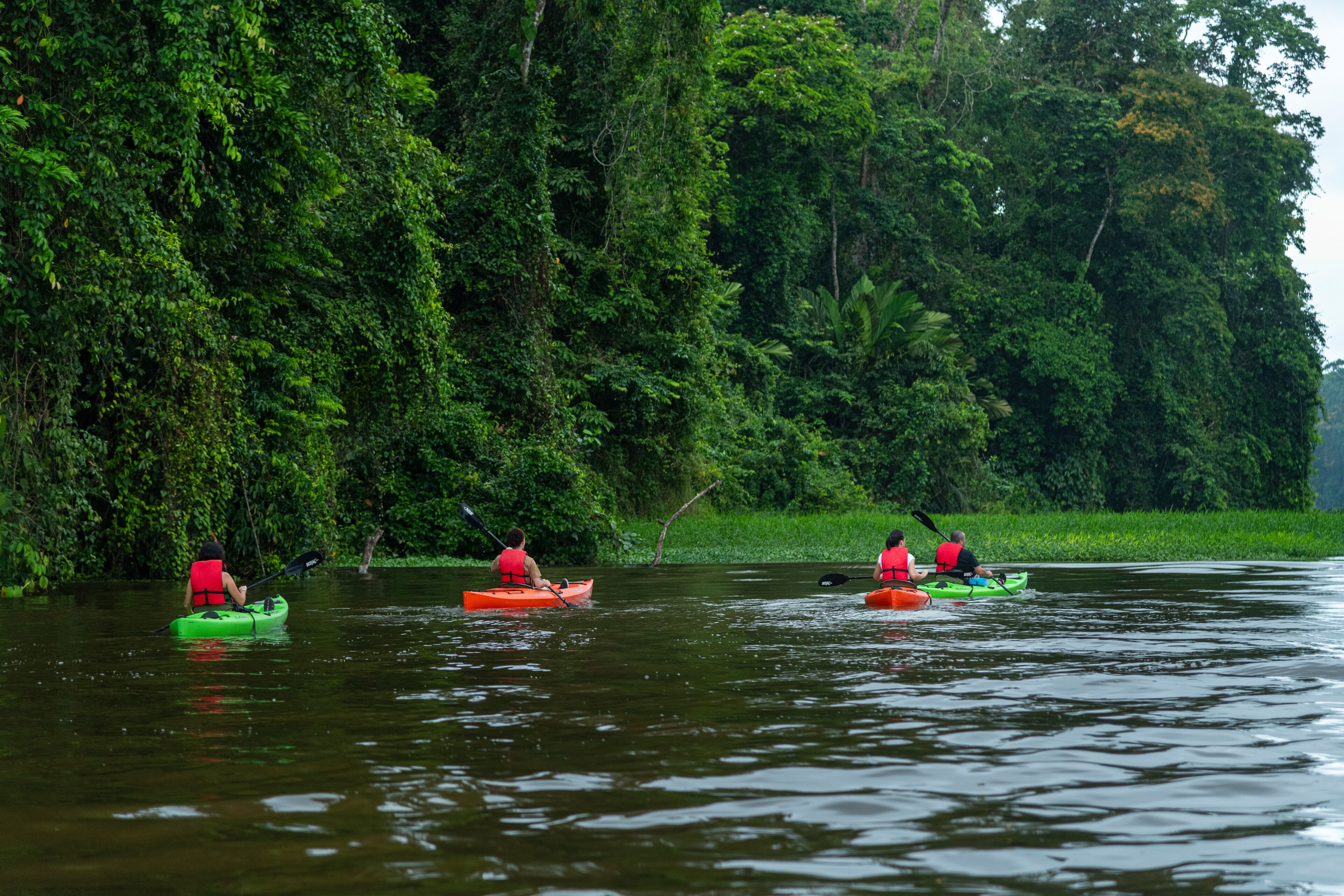 Tres kayaks en un río rodeado de abundante vegetación.