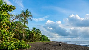 A tropical beach with dense greenery and palm trees. - Laguna Lodge (Colorado)