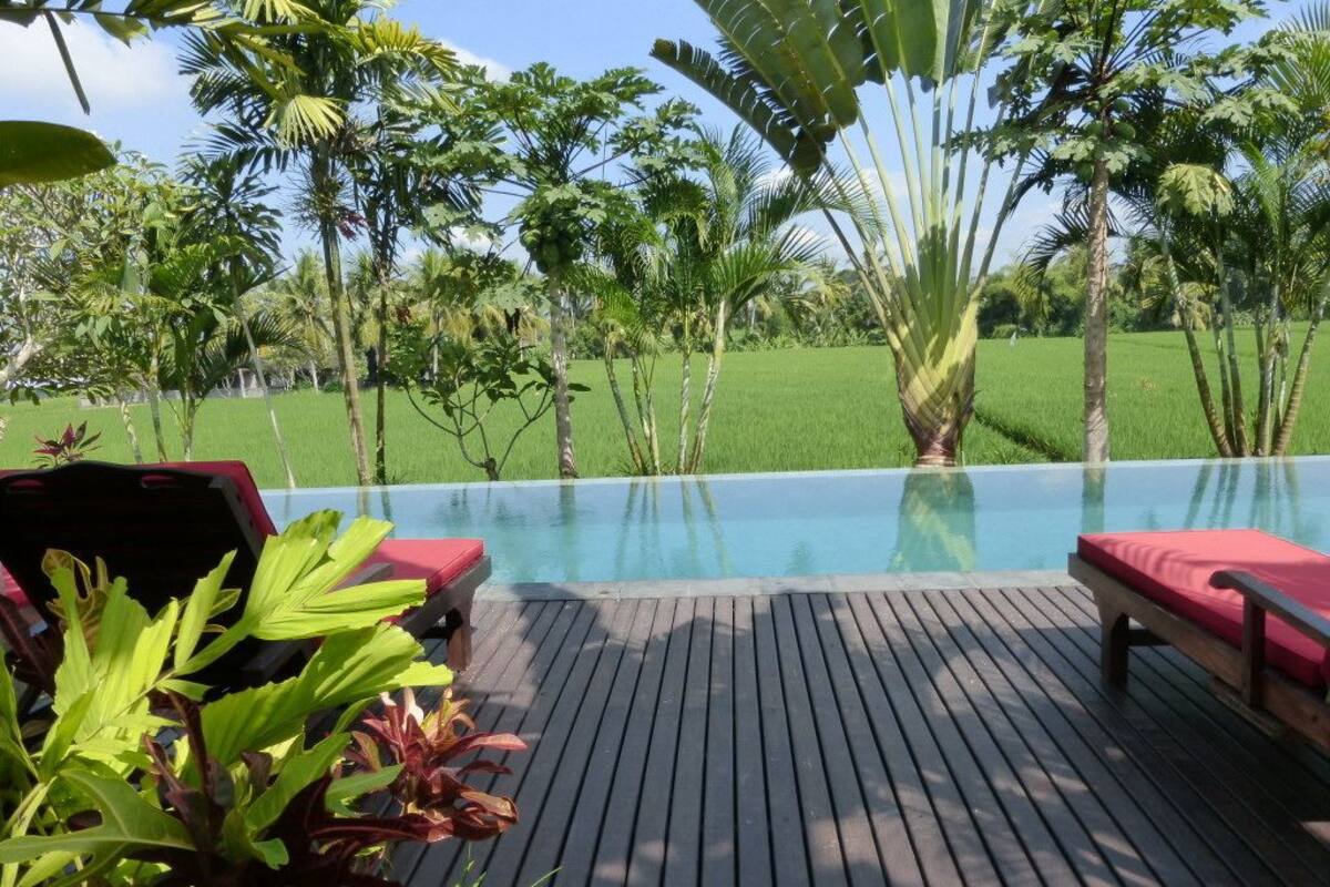 An infinity pool with wooden deck and red lounge chairs, surrounded by tropical vegetation and a green field.